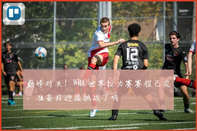 巅峰对决！WRC世界拉力赛赛程已定，准备好迎接挑战了吗