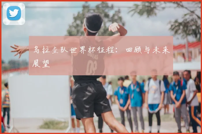 乌拉圭队世界杯征程：回顾与未来展望