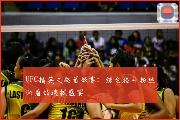 UFC精英之路晋级赛：综合格斗粉丝必看的选拔盛宴